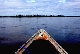 After the Last River