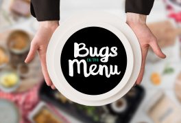 Bugs on the Menu