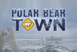 Catharine Parke, Ed Hatton, Lisa Cichelly, Saskia de Boer