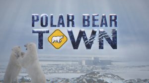Polar Bear Town