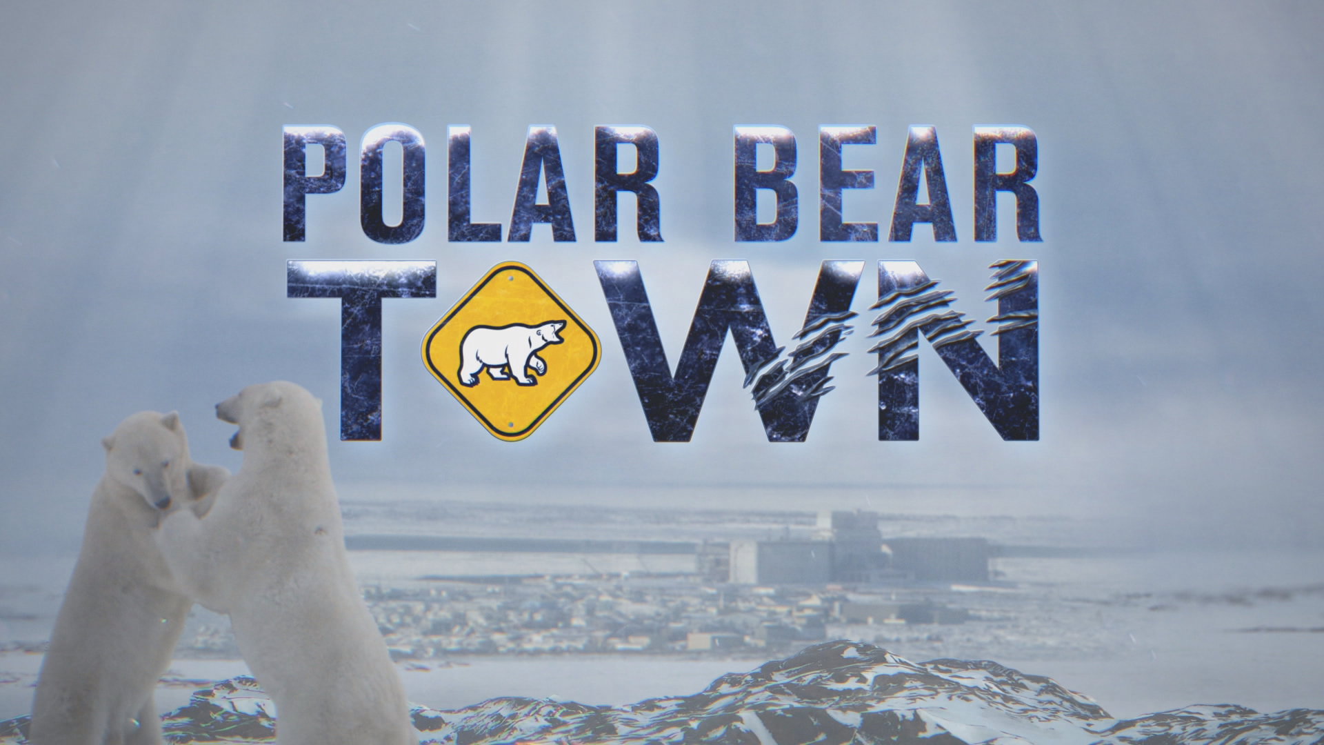 Bear город. Bear Town.