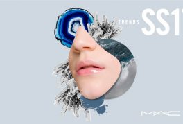 MAC Spring Presentation