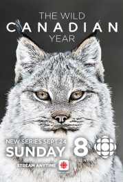 The Wild Canadian Year