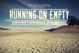 Running on Empty