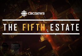 the fifth estate