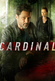 Cardinal: Blackfly Season
