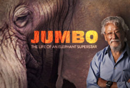 Jumbo: The Life of an Elephant Superstar