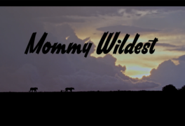 Mommy Wildest