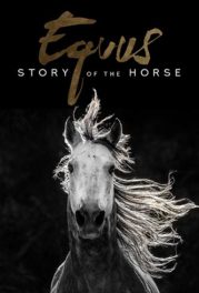 Equus: Story of the Horse