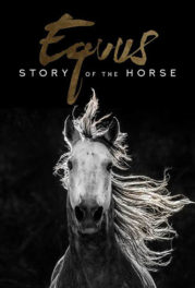 Brenda Terning, Krystal Moss