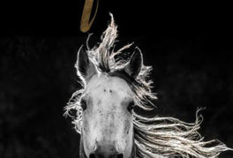 Brenda Terning, Krystal Moss