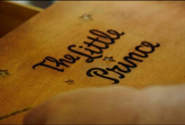 Invisible Essence: The Little Prince