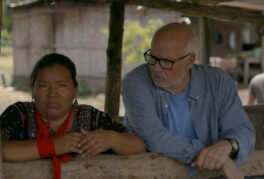 In Search of a Perfect World