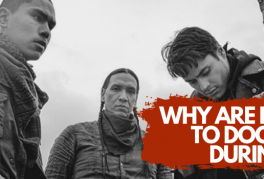 The Appeal of Viral Outbreak Movies During an Actual Pandemic