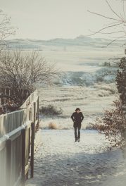 Mark Sakamoto, Nik Sexton, Tom Stanley