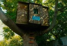 Jennifer Morden, Matthew Bianchi