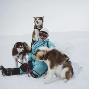 A woman sitting on snow, dressed in a snow suit surrounded by husky dogs.