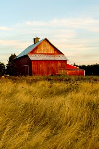 Farm Crime