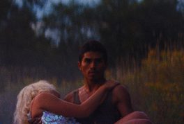 Drunken Birds | Les oiseaux ivres