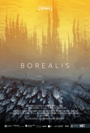 Borealis