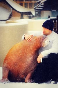 The Last Walrus
