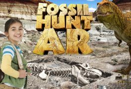 Fossil Hunt