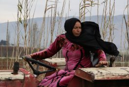 Noura Kevorkian, Mike Munn, CCE