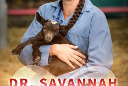 Dr. Savannah: Wild Rose Vet