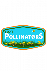 Leo’s Pollinators