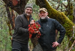 Les Stroud, Kevin Kossowan, David Bateman