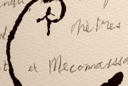 Miserable Miracle | Misérable Miracle