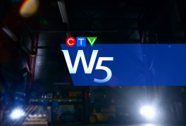 W5 – “Narco Avocados”