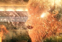 This Is Not a Ceremony