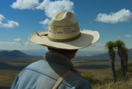 Hans Laitres, Sylvain Bellemare, Daniel Capeille