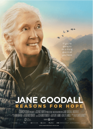 Jane Goodall