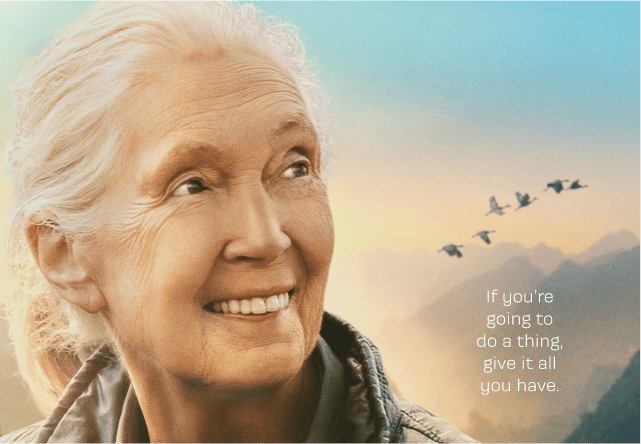 Jane Goodall