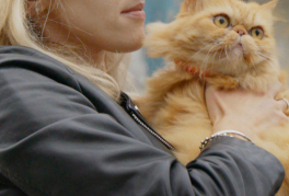 Saving the Animals of Ukraine