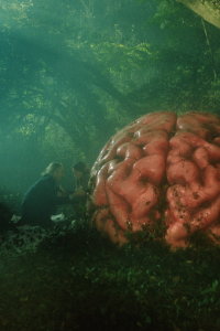 Zosia Mackenzie, John O’Regan, Márton Vörös, Rita Hetényi