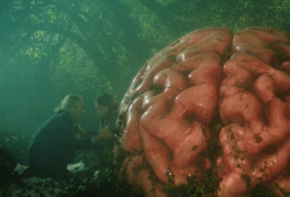 Zosia Mackenzie, John O’Regan, Márton Vörös, Rita Hetényi