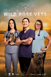 Wild Rose Vets