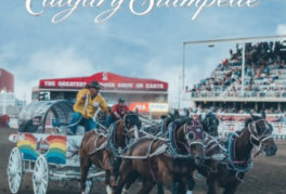 Calgary Stampede Rangeland Derby Open – What Is Chuckwagon Racing