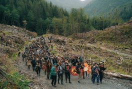 Eli Haligua, Blair Moog, Fatih Ragbet, Gulay Acar